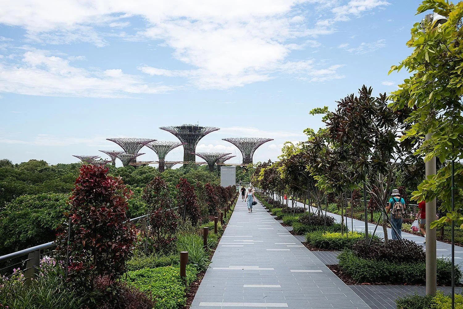 Supertree Grove. Gardens by the Bay, Singapore.