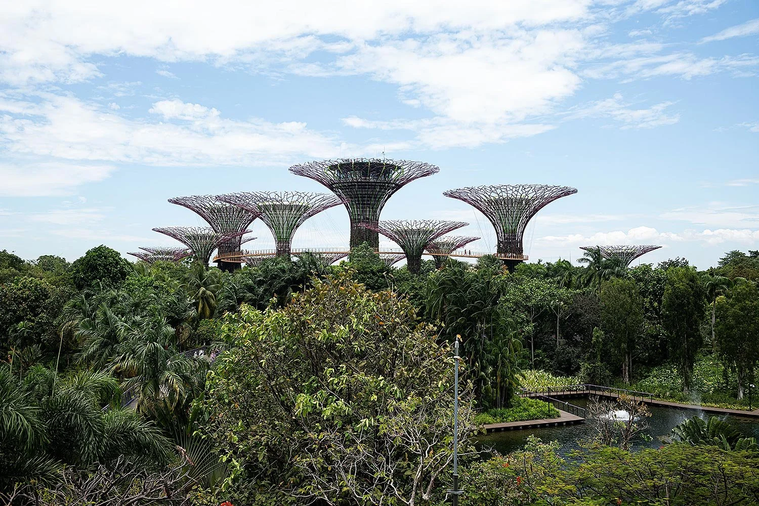 Supertree Grove. Gardens by the Bay, Singapore.