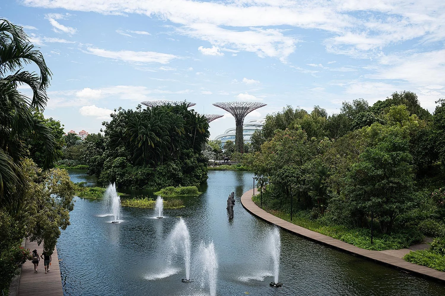 Supertree Grove. Gardens by the Bay, Singapore.