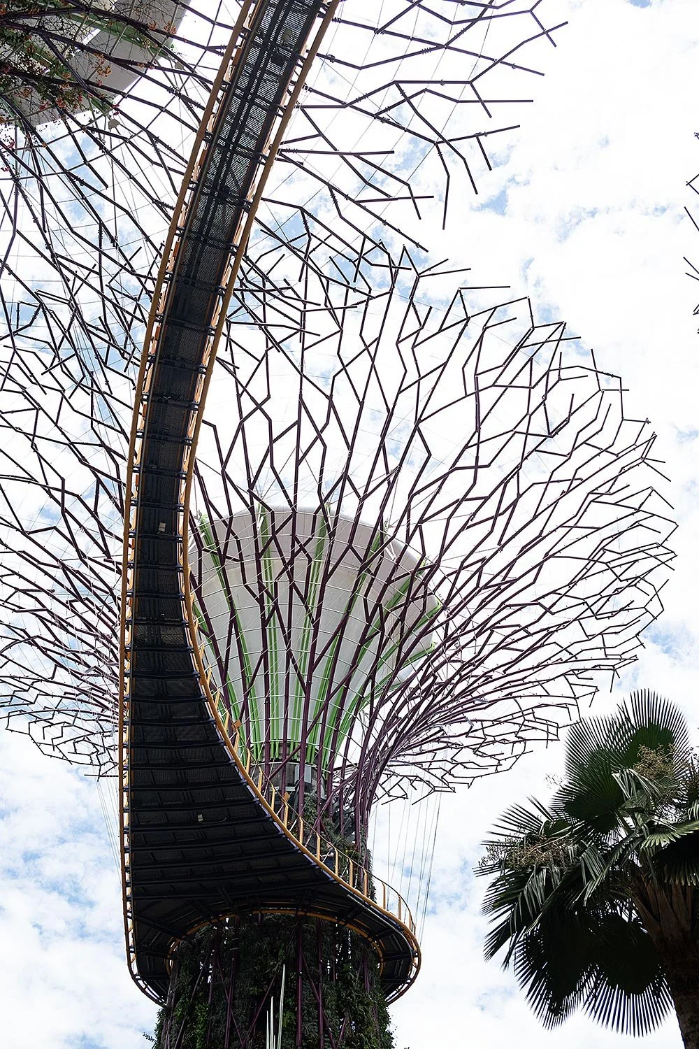 Supertree Grove. Gardens by the Bay, Singapore.