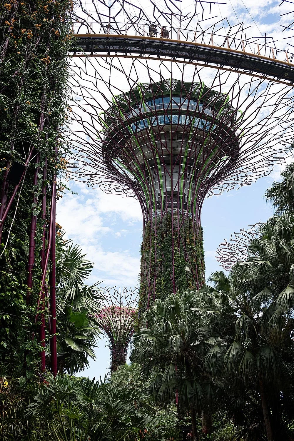 Supertree Grove. Gardens by the Bay, Singapore.