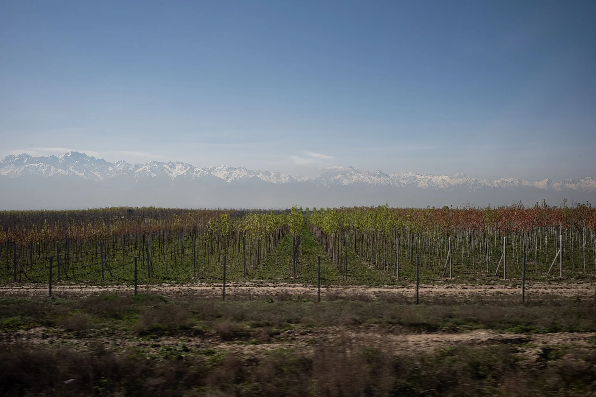 Kazakhstan road trip.