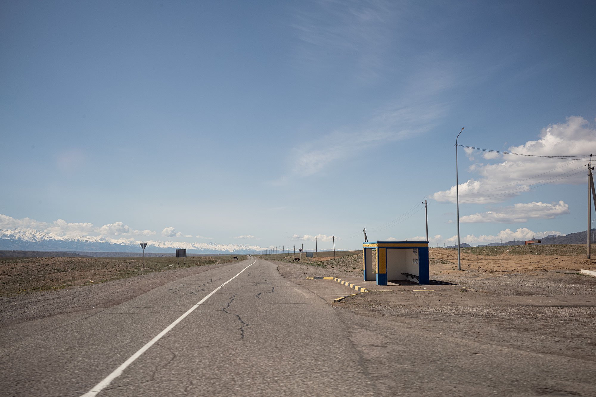2026-04-12-almaty-region-L0007413.jpg