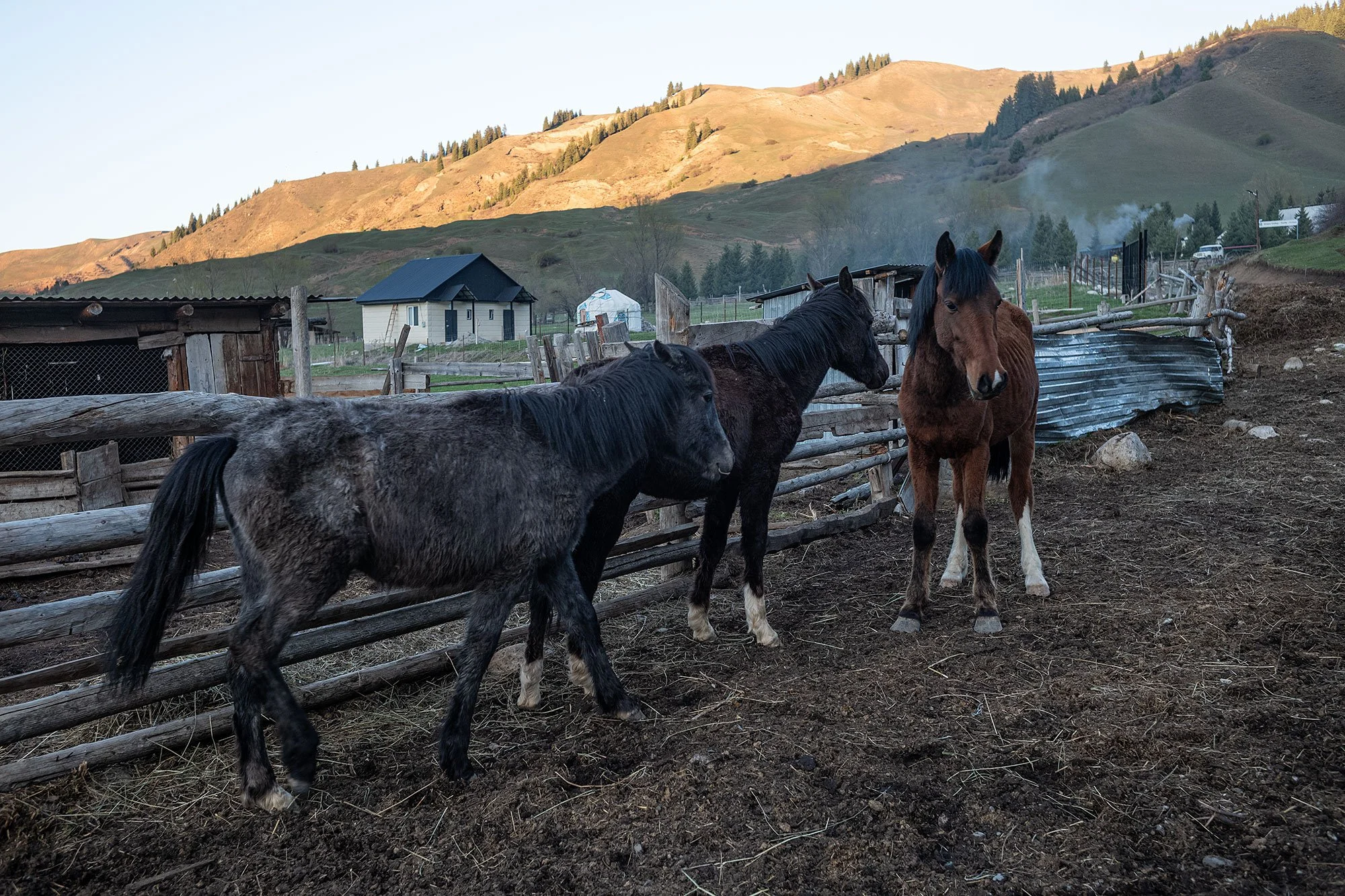 Green Valley Yurts, Kazakhstan.