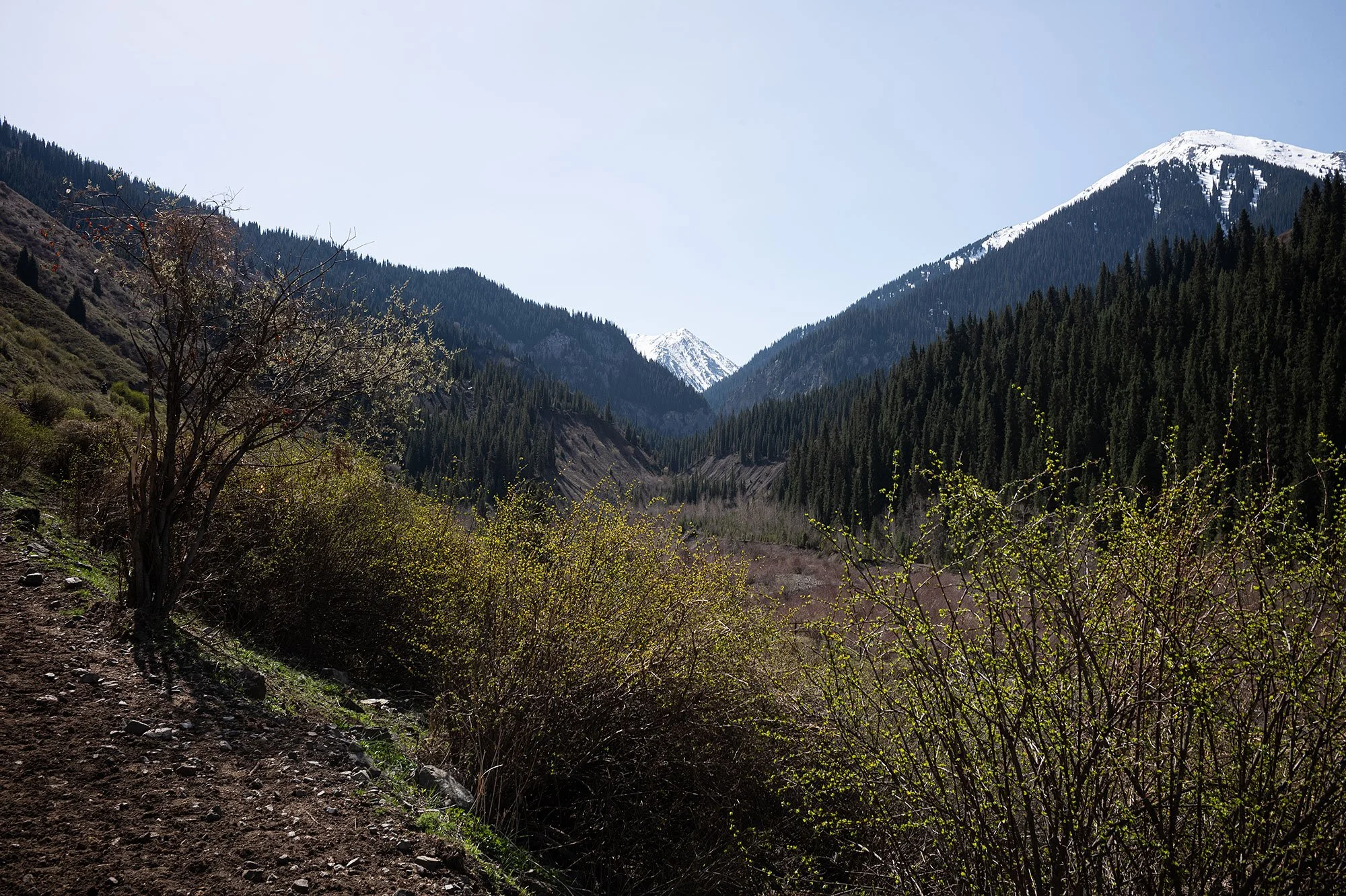 On horseback to Kaindy Lake, Kazakhstan.