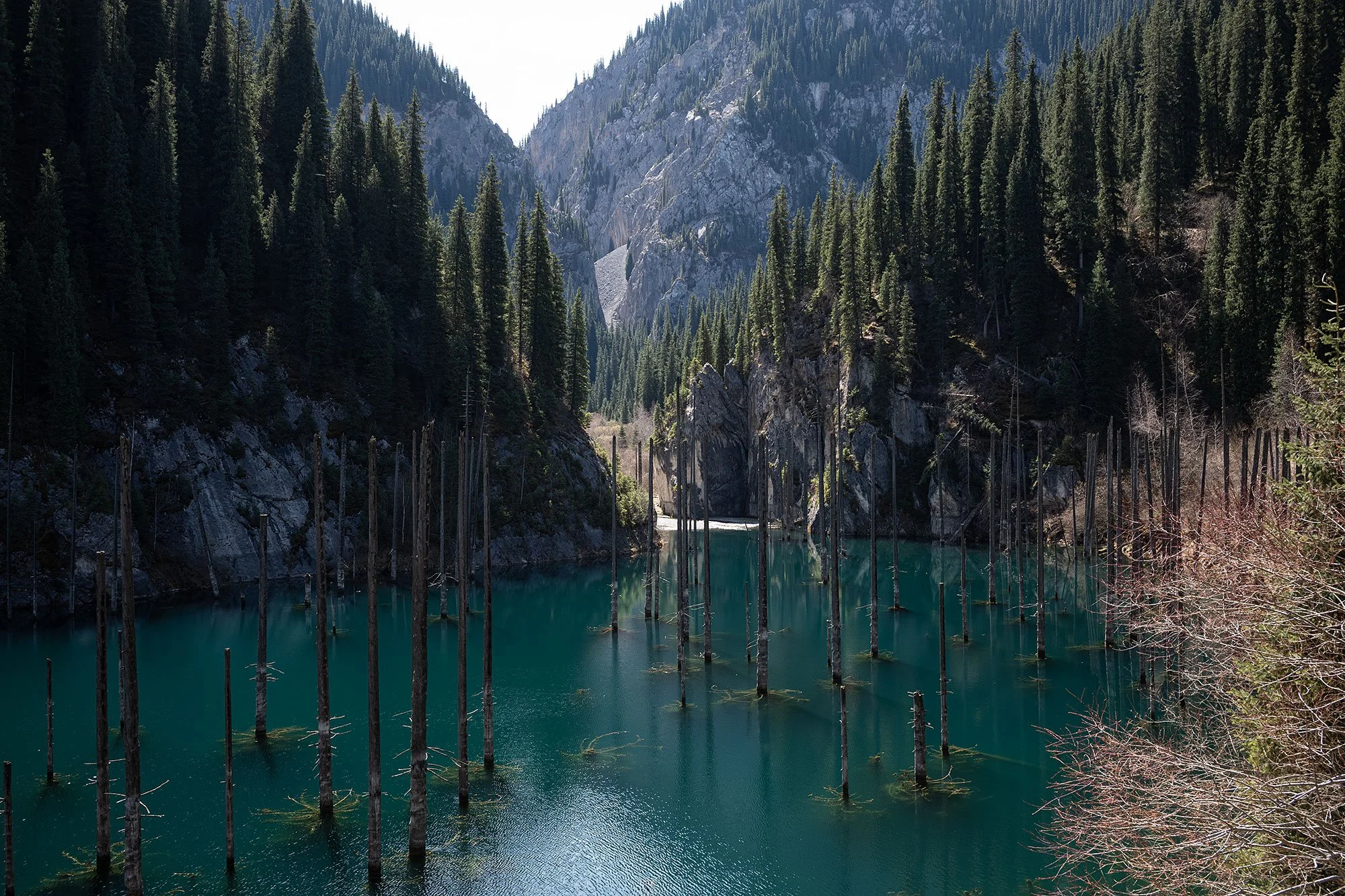2026-04-13-almaty-region-L0007866.jpg