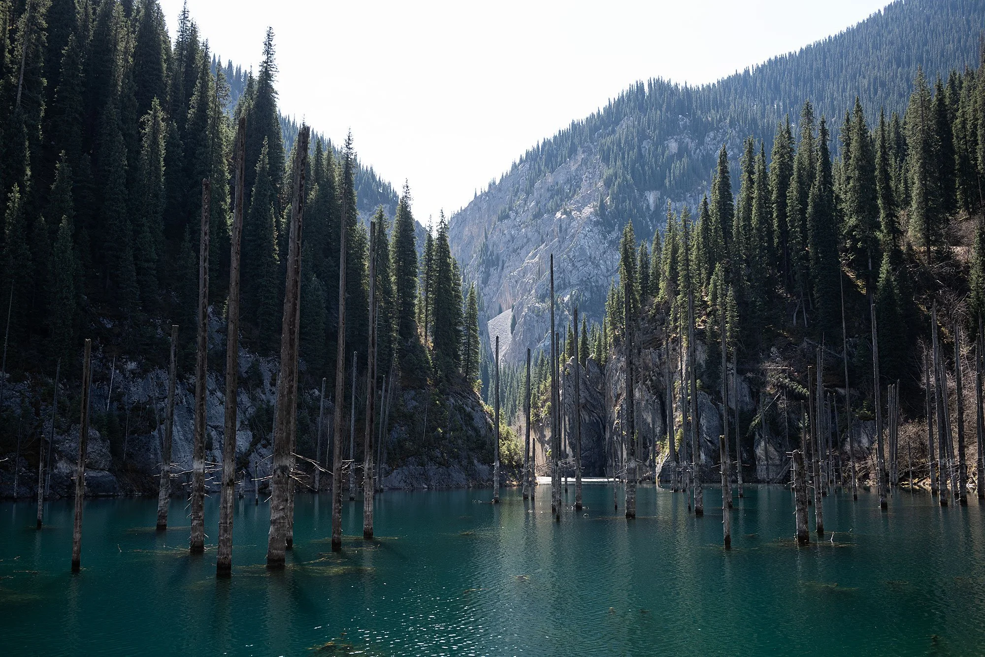Kaindy Lake, Kazakhstan.