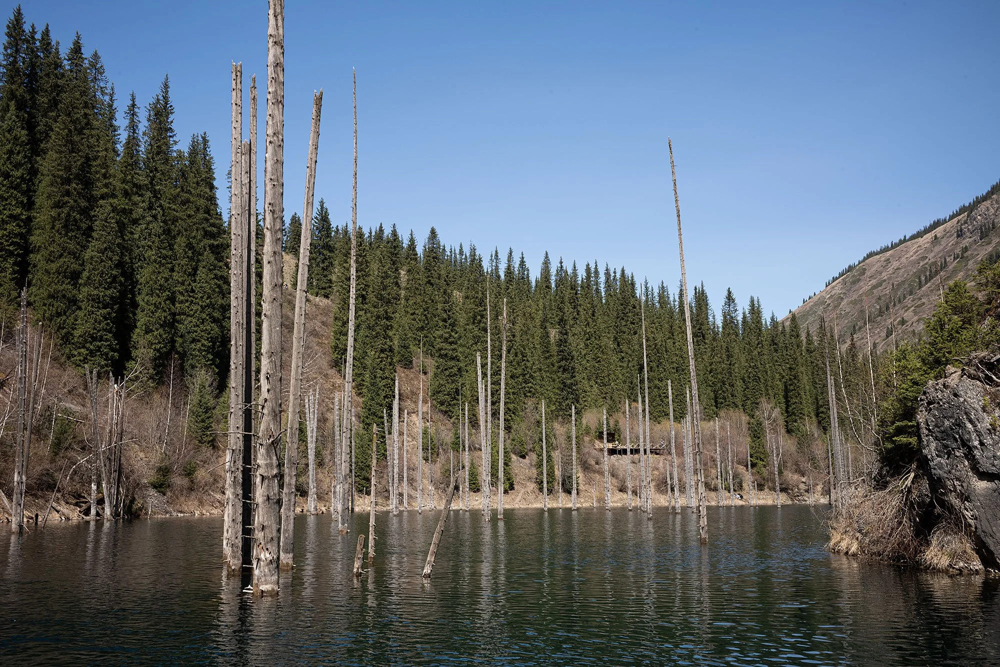 Kaindy Lake, Kazakhstan.