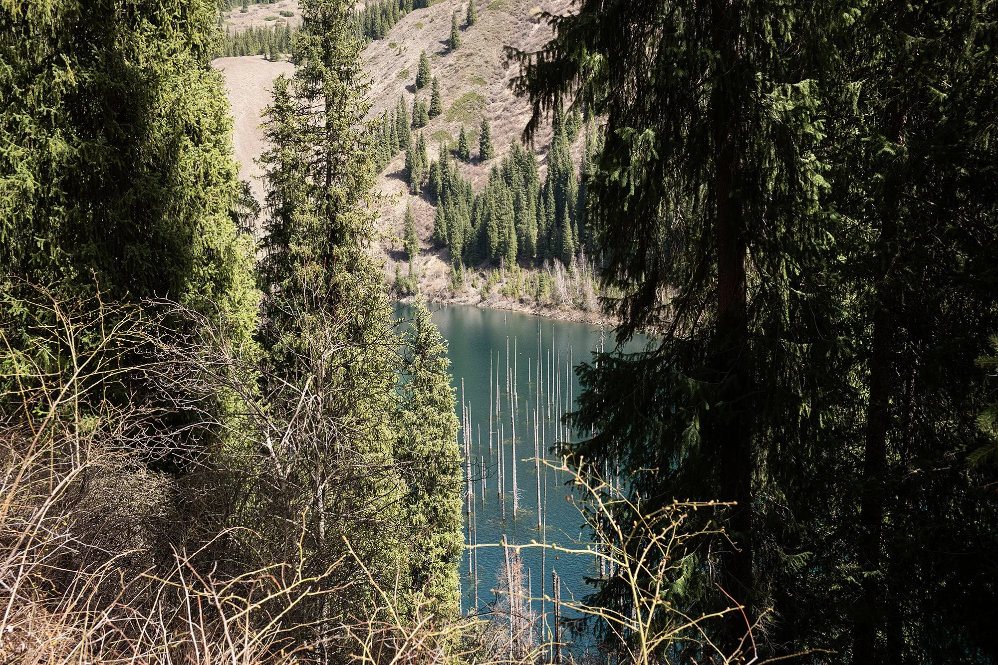 Kaindy Lake, Kazakhstan.