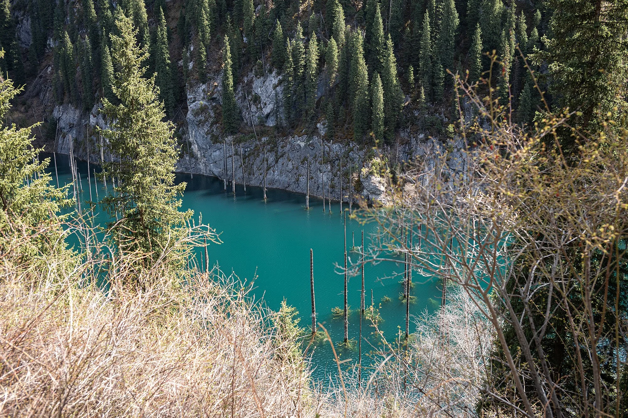 Kaindy Lake, Kazakhstan.