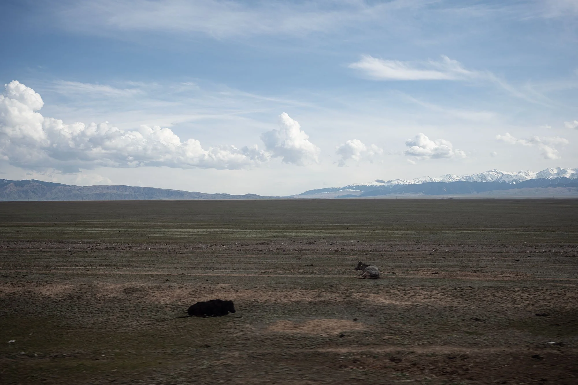 Kazakhstan road trip.