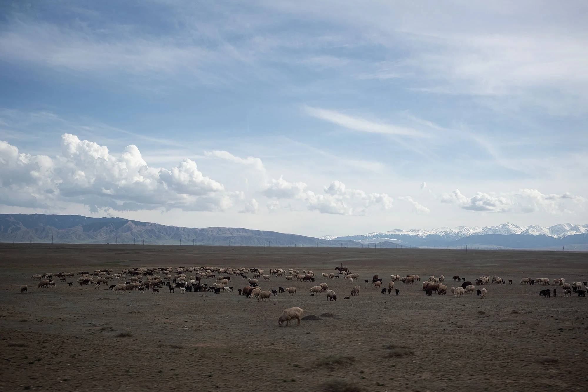 Kazakhstan road trip.