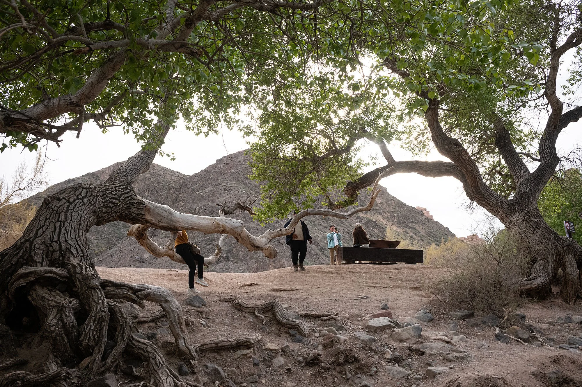 Charyn Canyon. Kazakhstan.