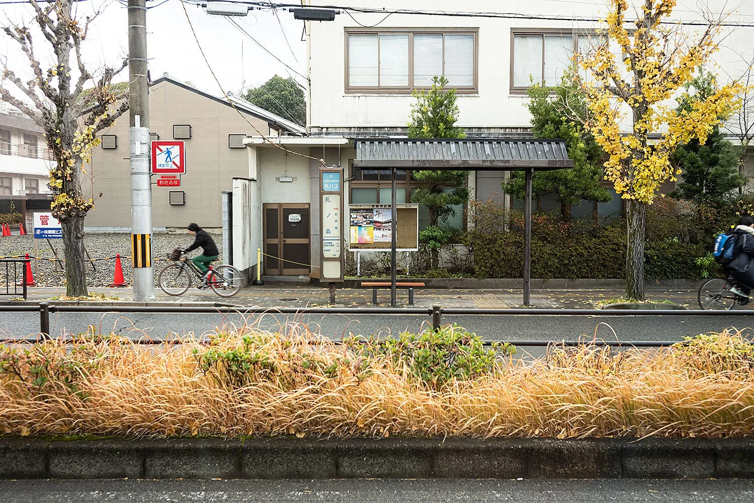 Kyoto, Japan.