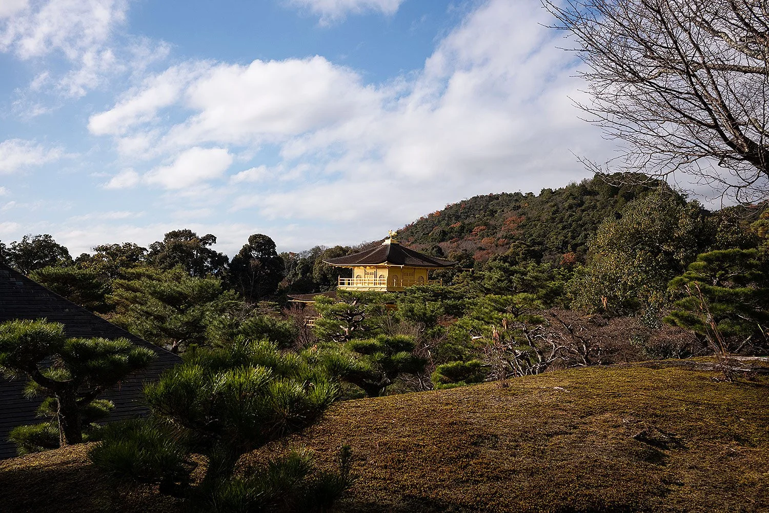 Kinkaku-ji. Kyoto, Japan.