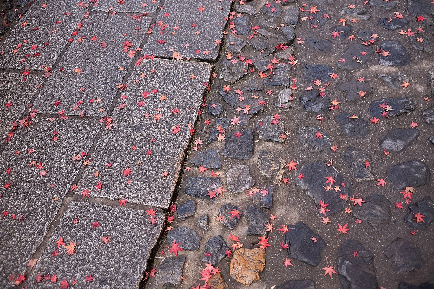 Ryōan-ji. Kyoto, Japan.
