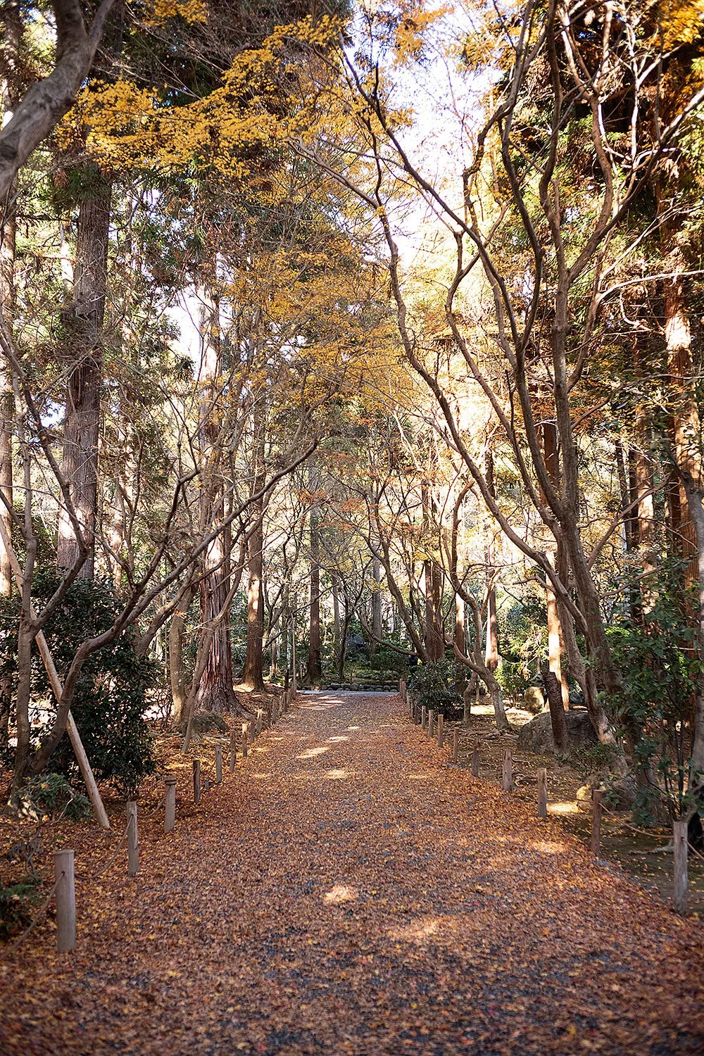 Ryōan-ji. Kyoto Japan.