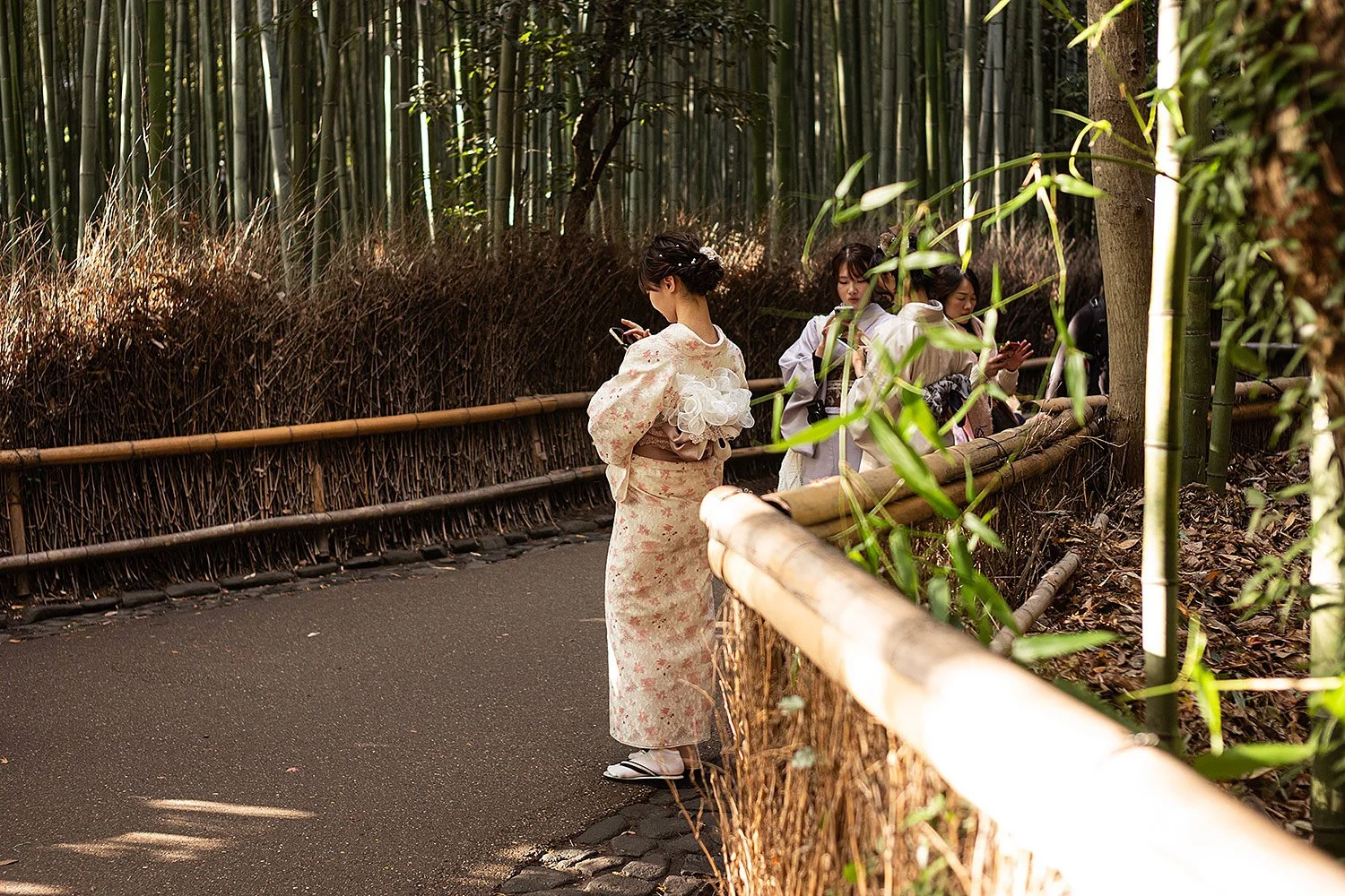 Arashiyama Bamboo Forest. Kyoto, Japan.