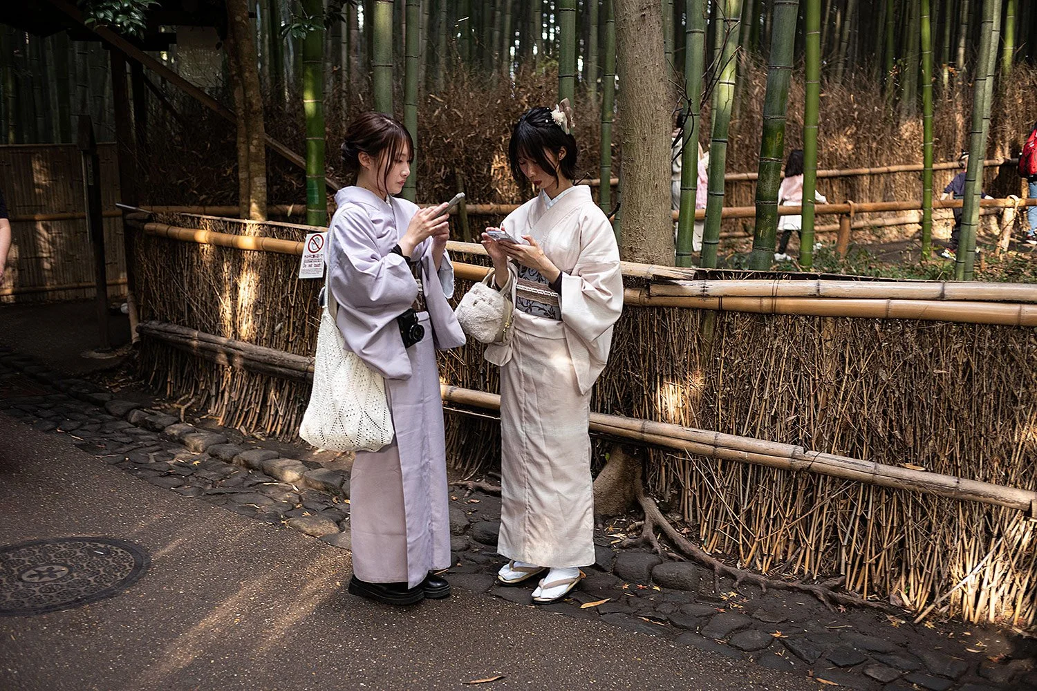 Arashiyama Bamboo Forest. Kyoto, Japan.
