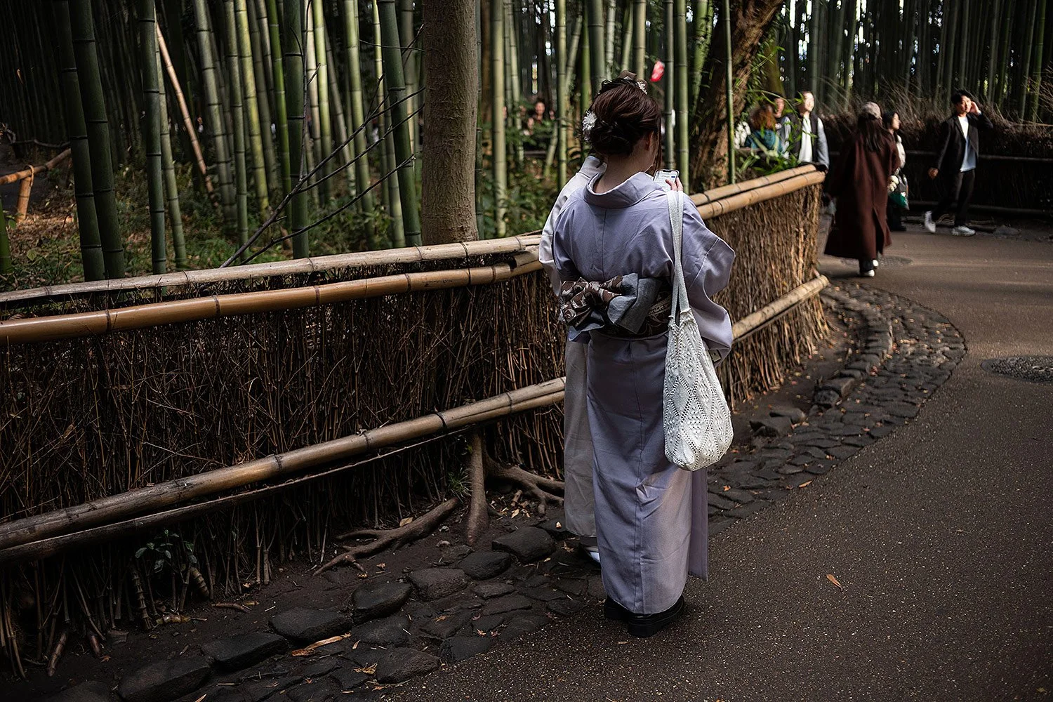 Arashiyama Bamboo Forest. Kyoto, Japan.