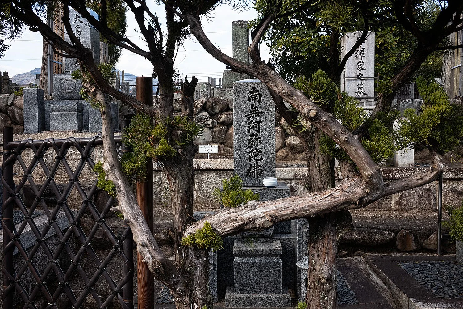 Tenryu-ji. Kyoto, Japan.