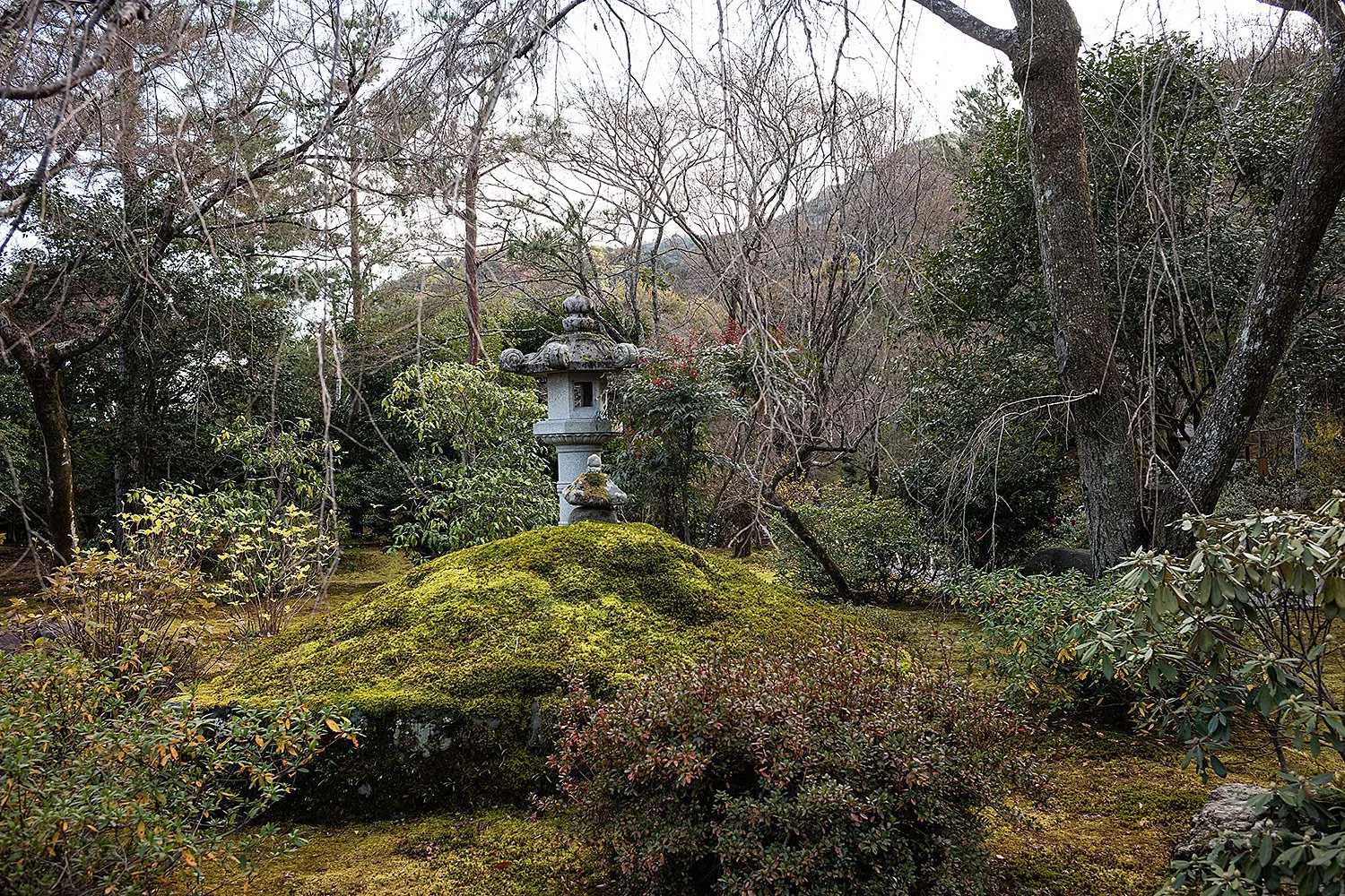 Tenryu-ji. Kyoto, Japan.