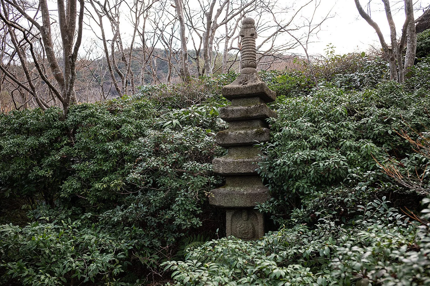 Okochi Sanso Garden. Kyoto, Japan.