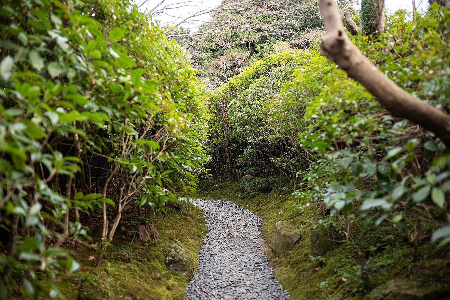 Okochi Sanso Garden. Kyoto, Japan.