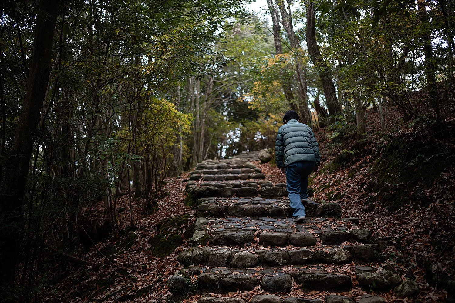 Arashiyama Park. Kyoto Japan.