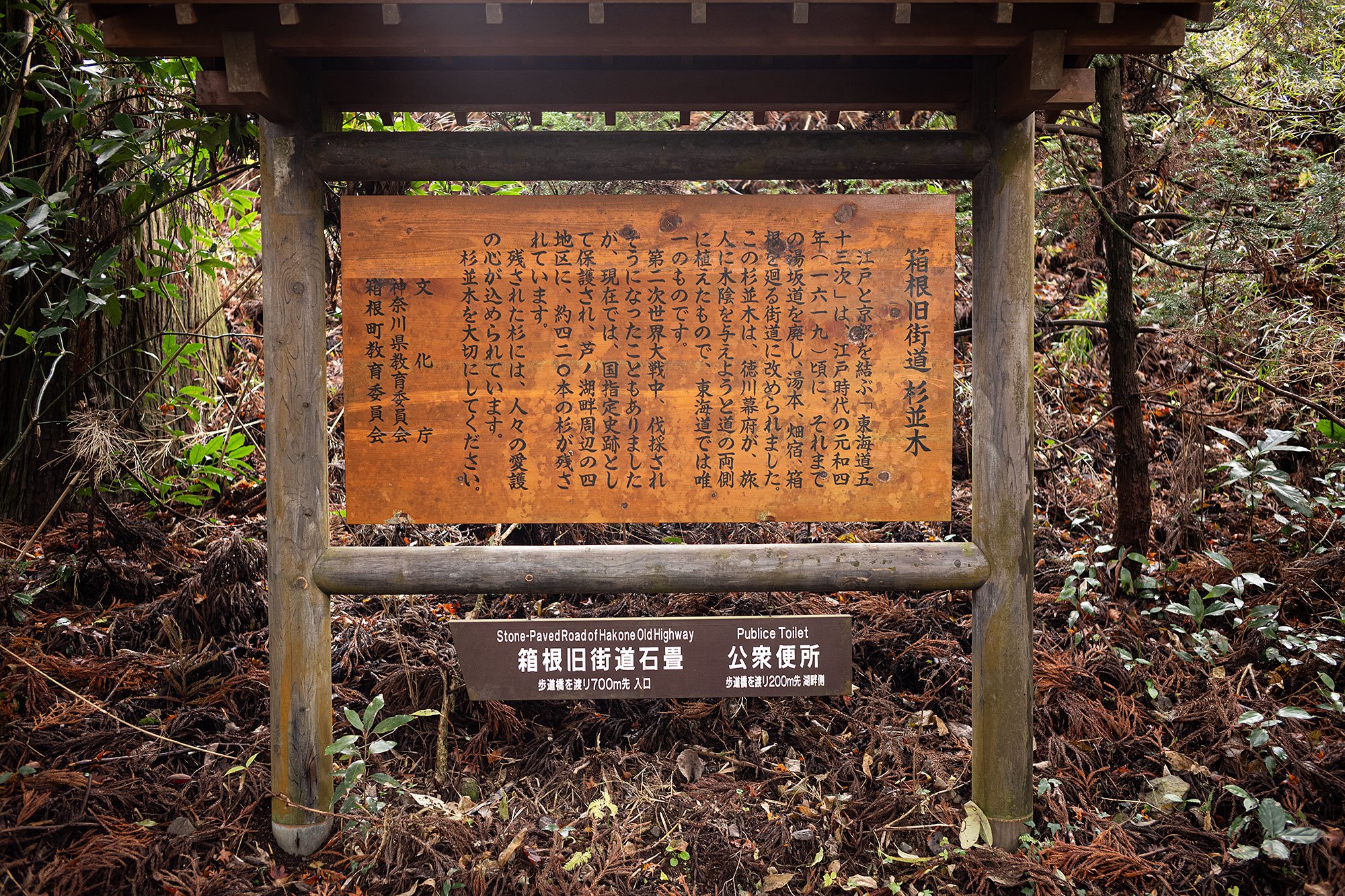 Old Tōkaidō Road Ancient Cedar Avenue. Hakone, Japan.
