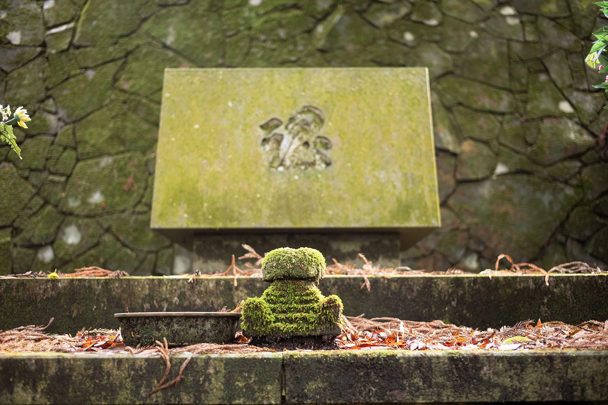 Old Tōkaidō Road Ancient Cedar Avenue. Hakone, Japan.