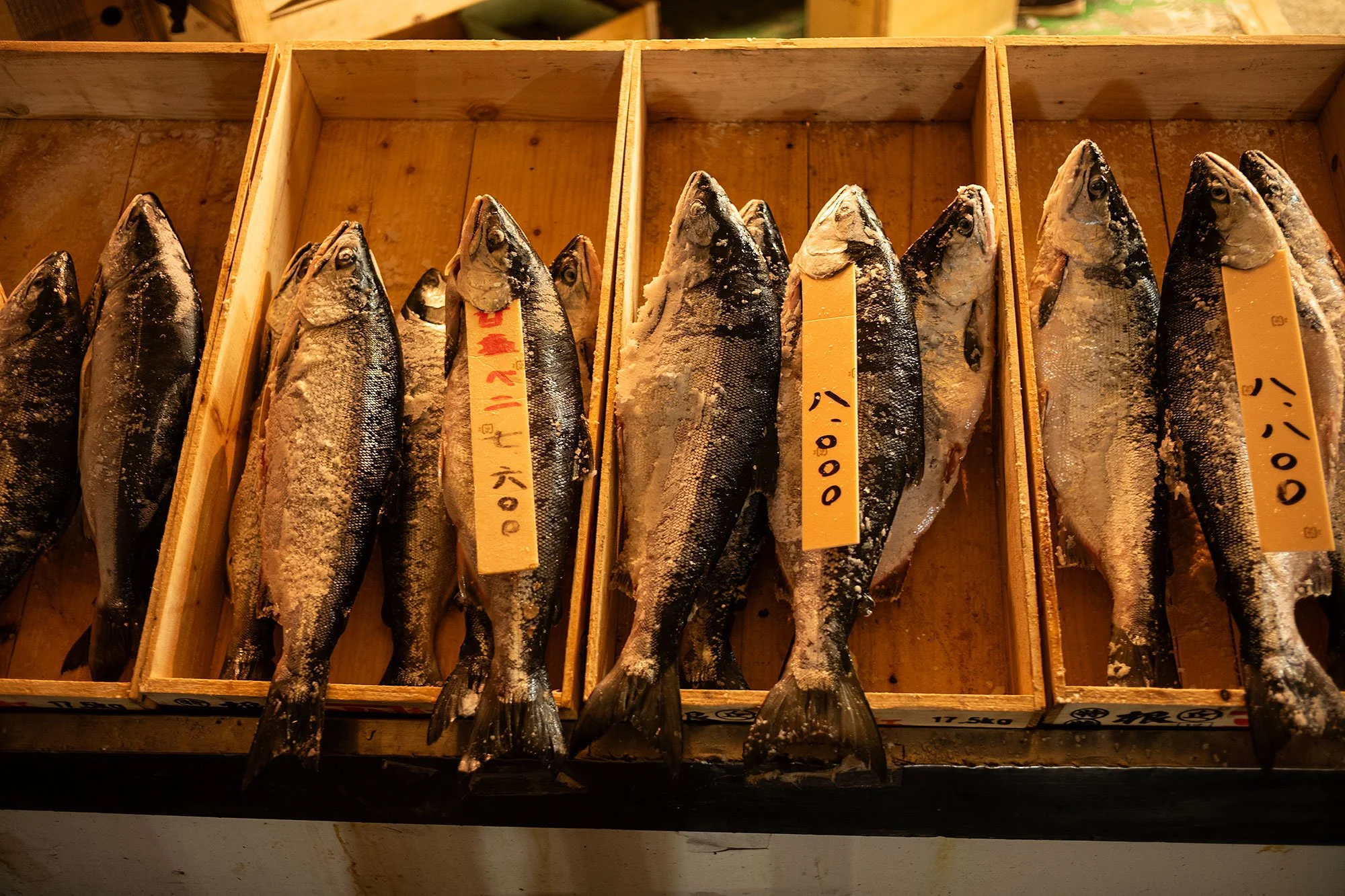 Hakodate morning market. Japan.