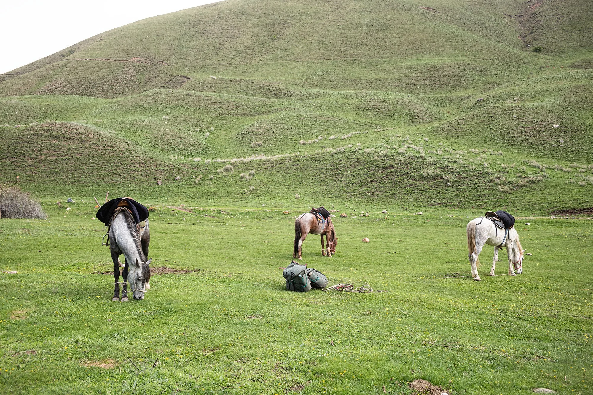 The trail to Song Kul, Kyrgyzstan.