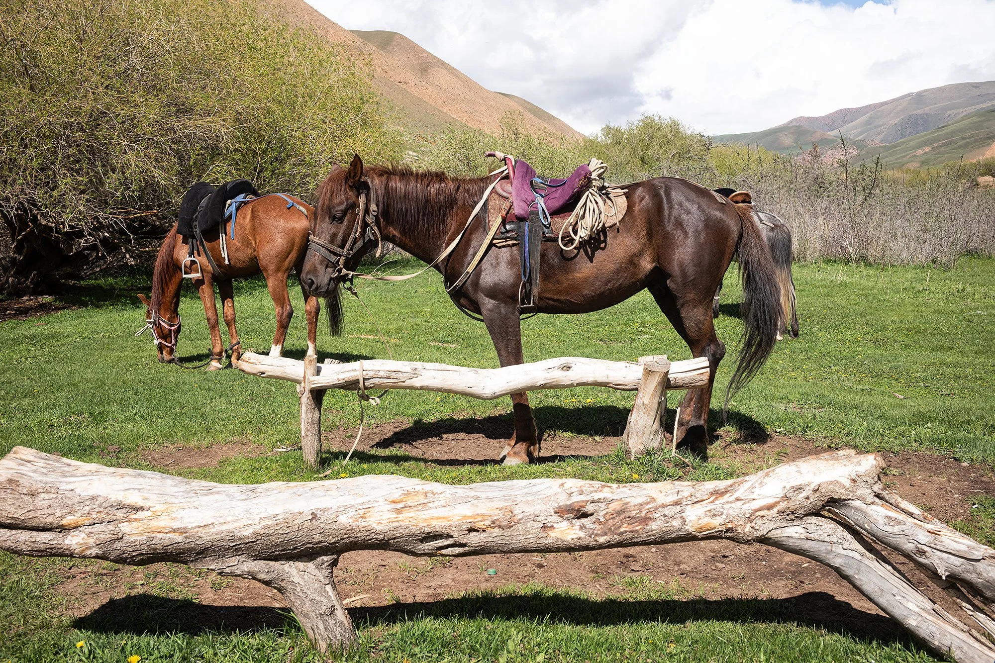 The trail to Song Kul, Kyrgyzstan.