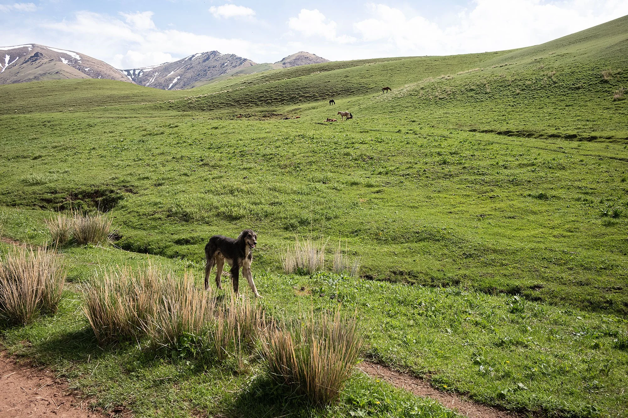 The trail to Song Kul, Kyrgyzstan.