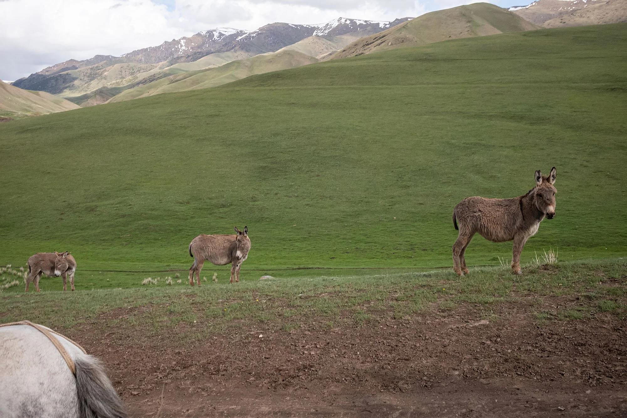 The trail to Song Kul, Kyrgyzstan.