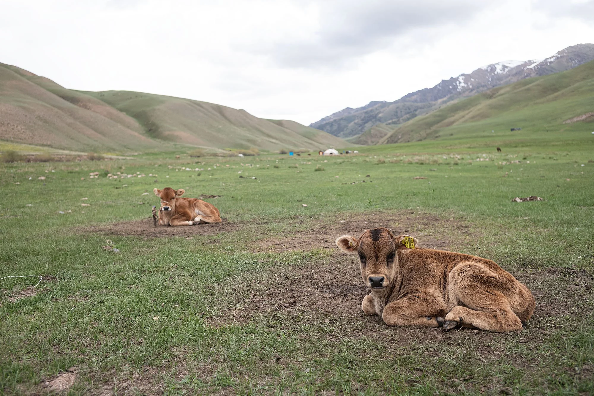 The trail to Song Kul, Kyrgyzstan.