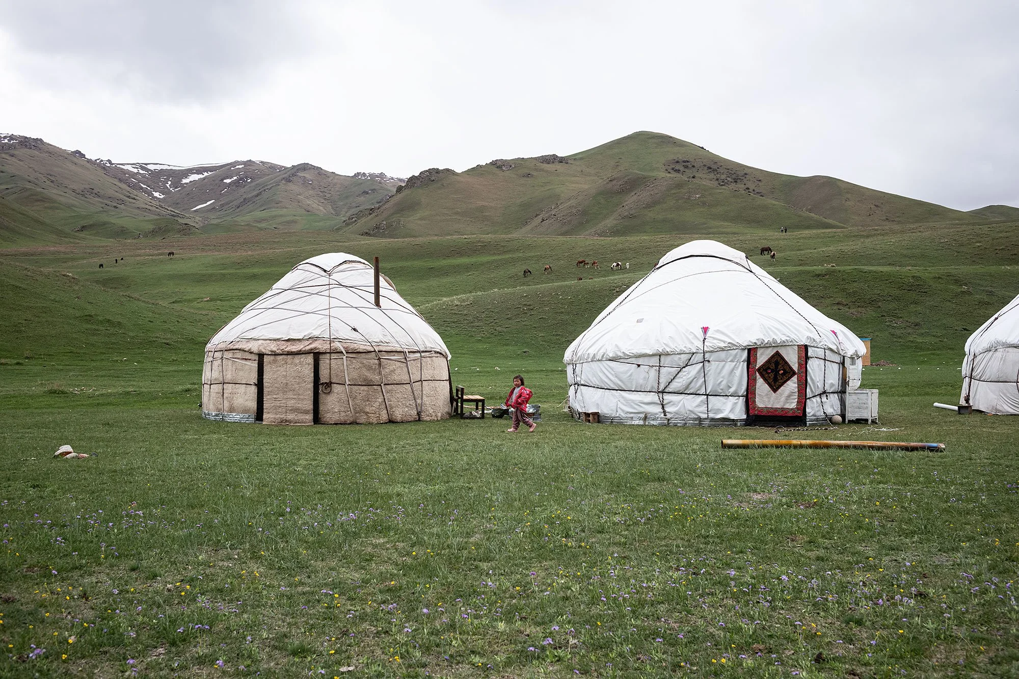Yurt camp 1. The trail to Song Kul, Kyrgyzstan.