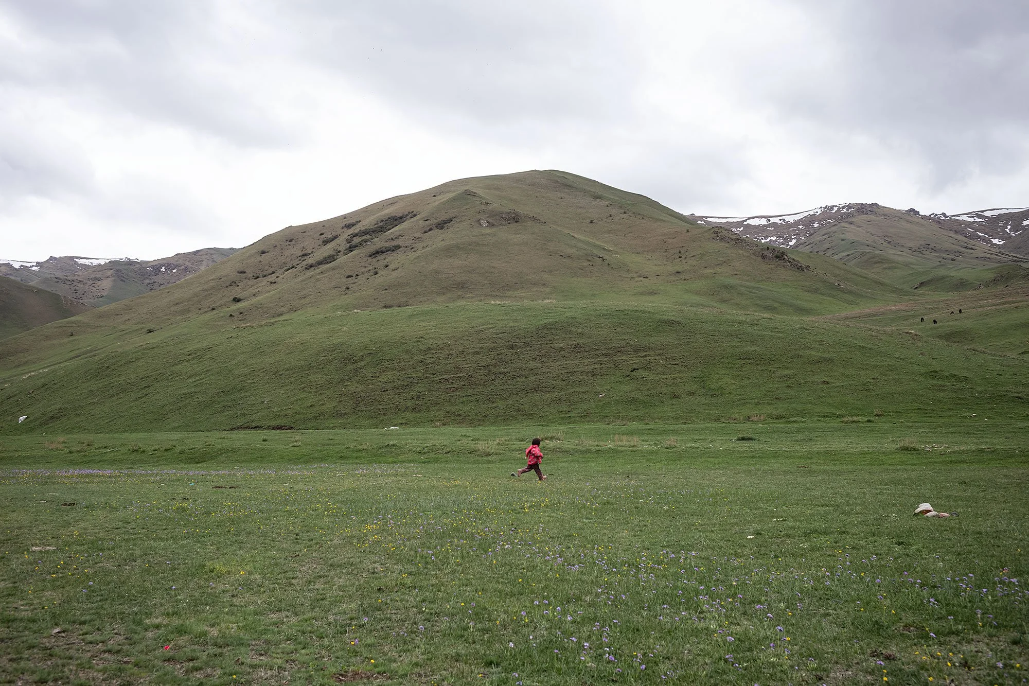 Yurt camp 1. The trail to Song Kul, Kyrgyzstan.