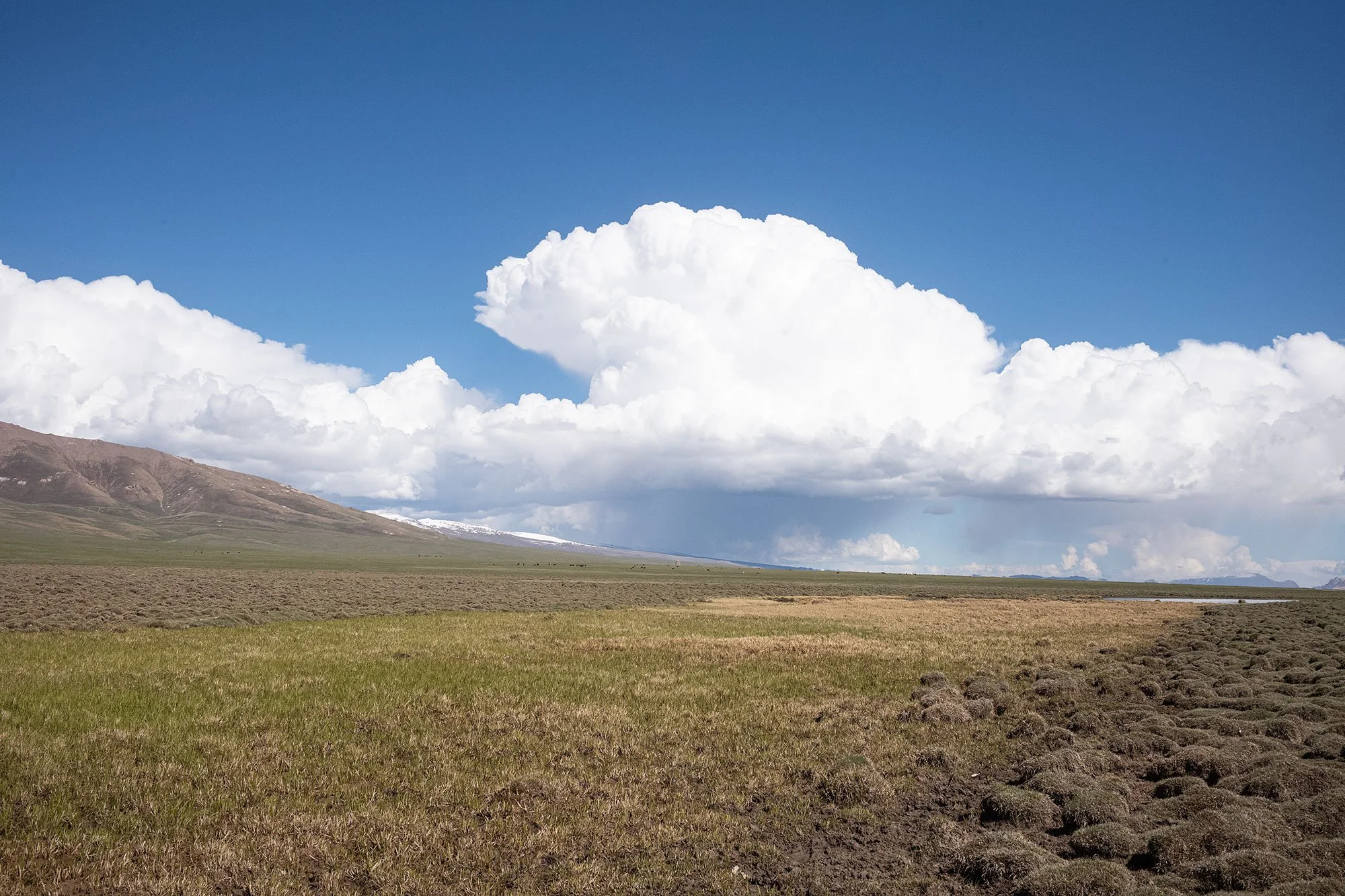 Song Kul, Kyrgyzstan.