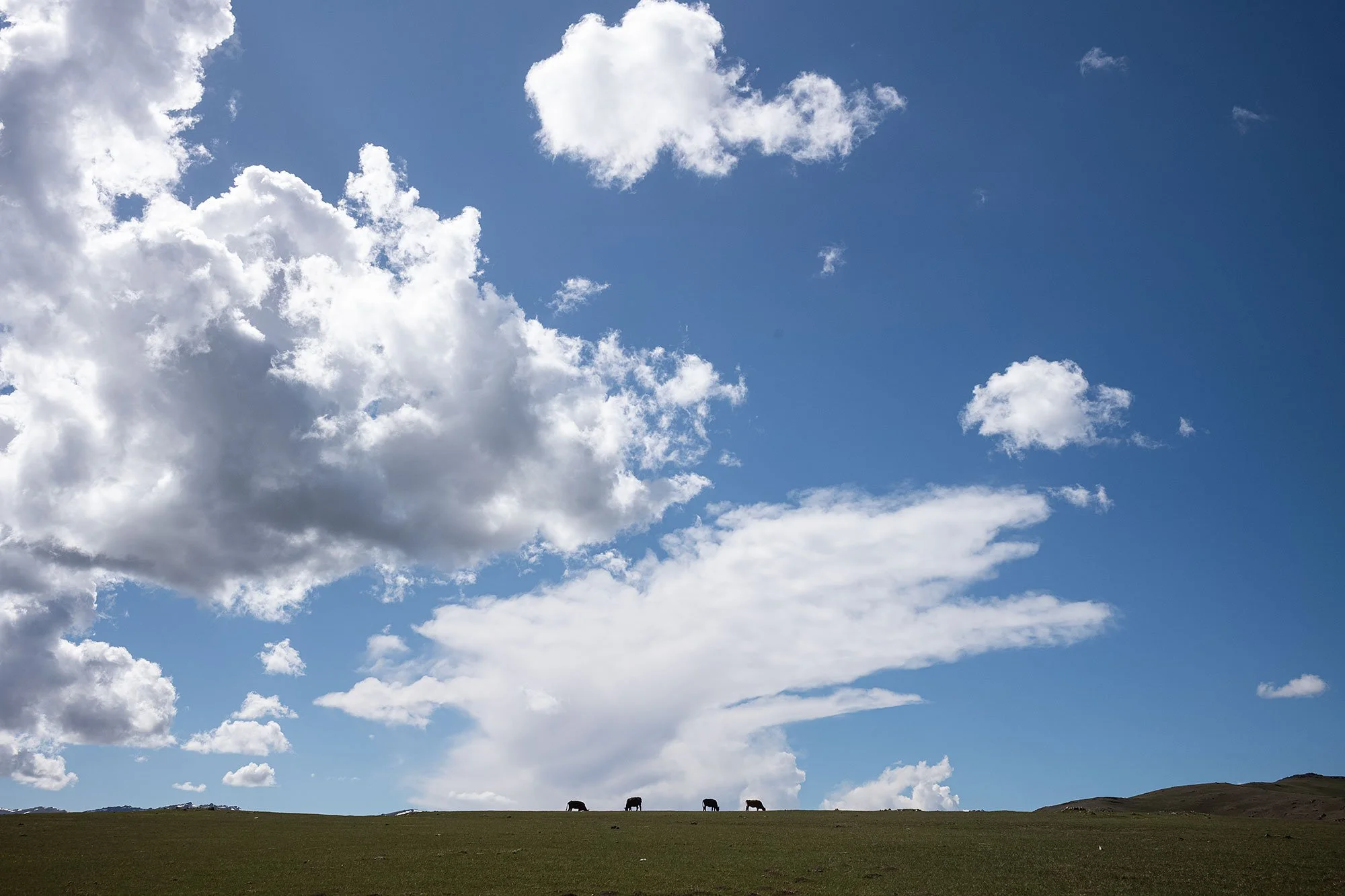 Song Kul, Kyrgyzstan.