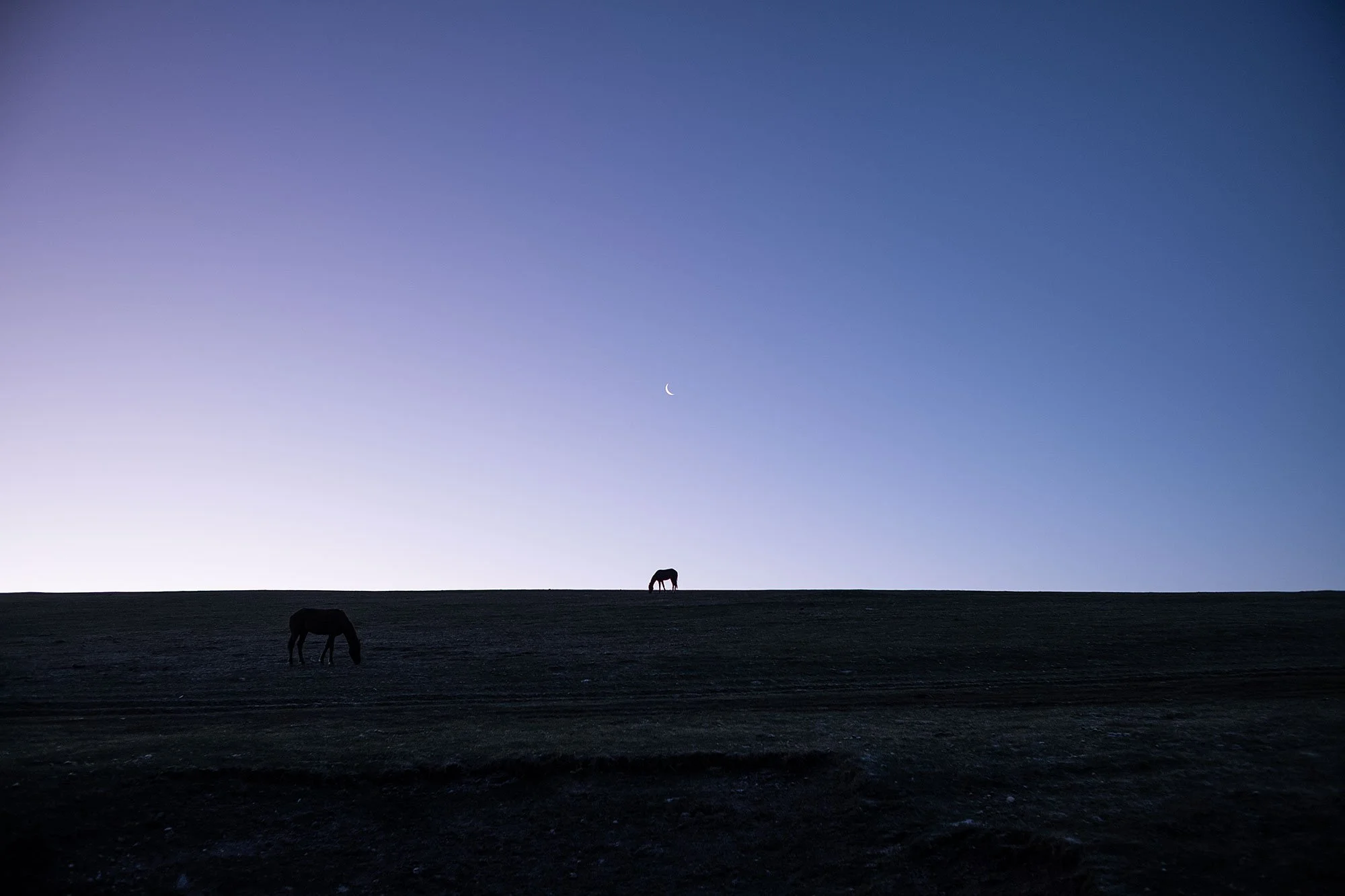 Sunrise. Song Kul Kyrgyzstan.