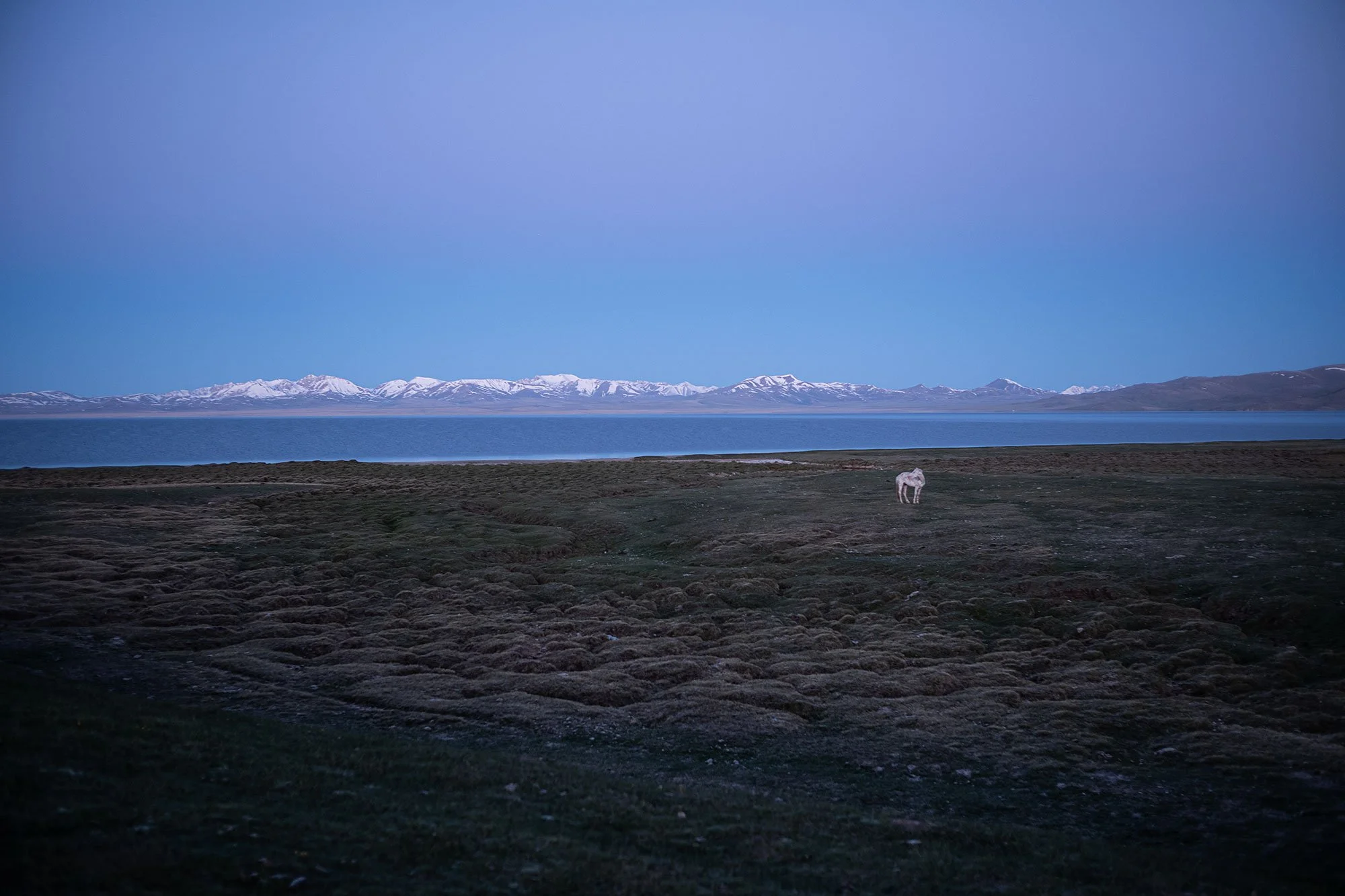 Sunrise. Song Kul Kyrgyzstan.