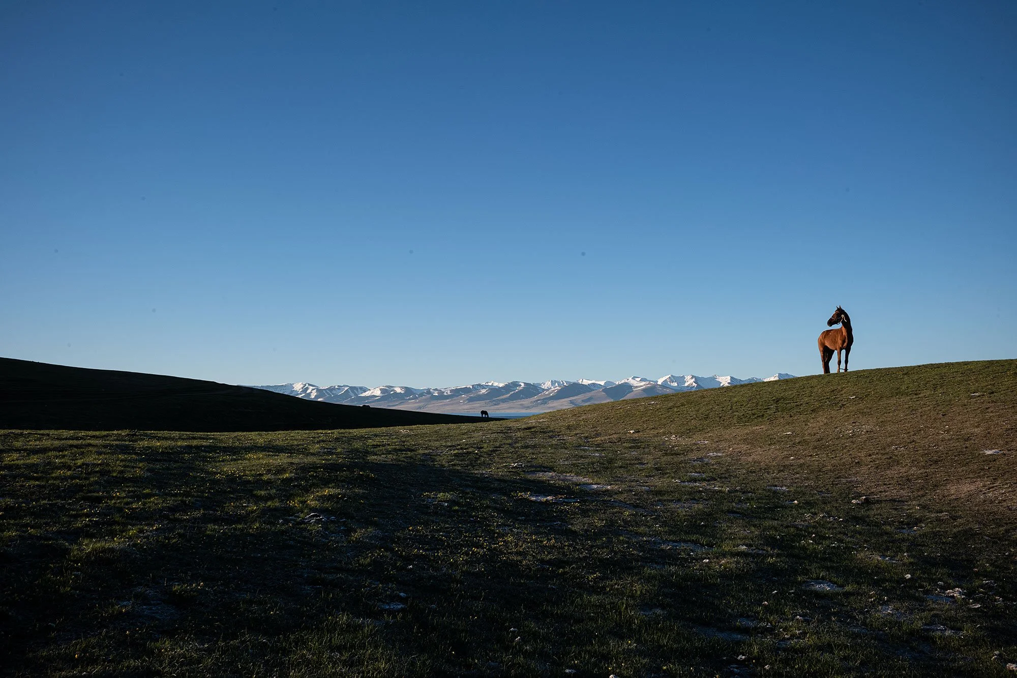 Sunrise. Song Kul Kyrgyzstan.