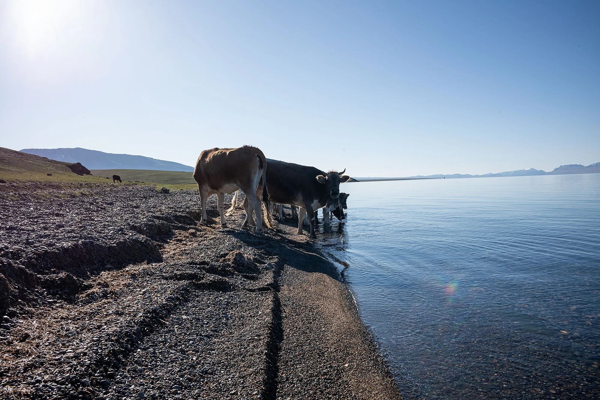 Sunrise. Song Kul Kyrgyzstan.