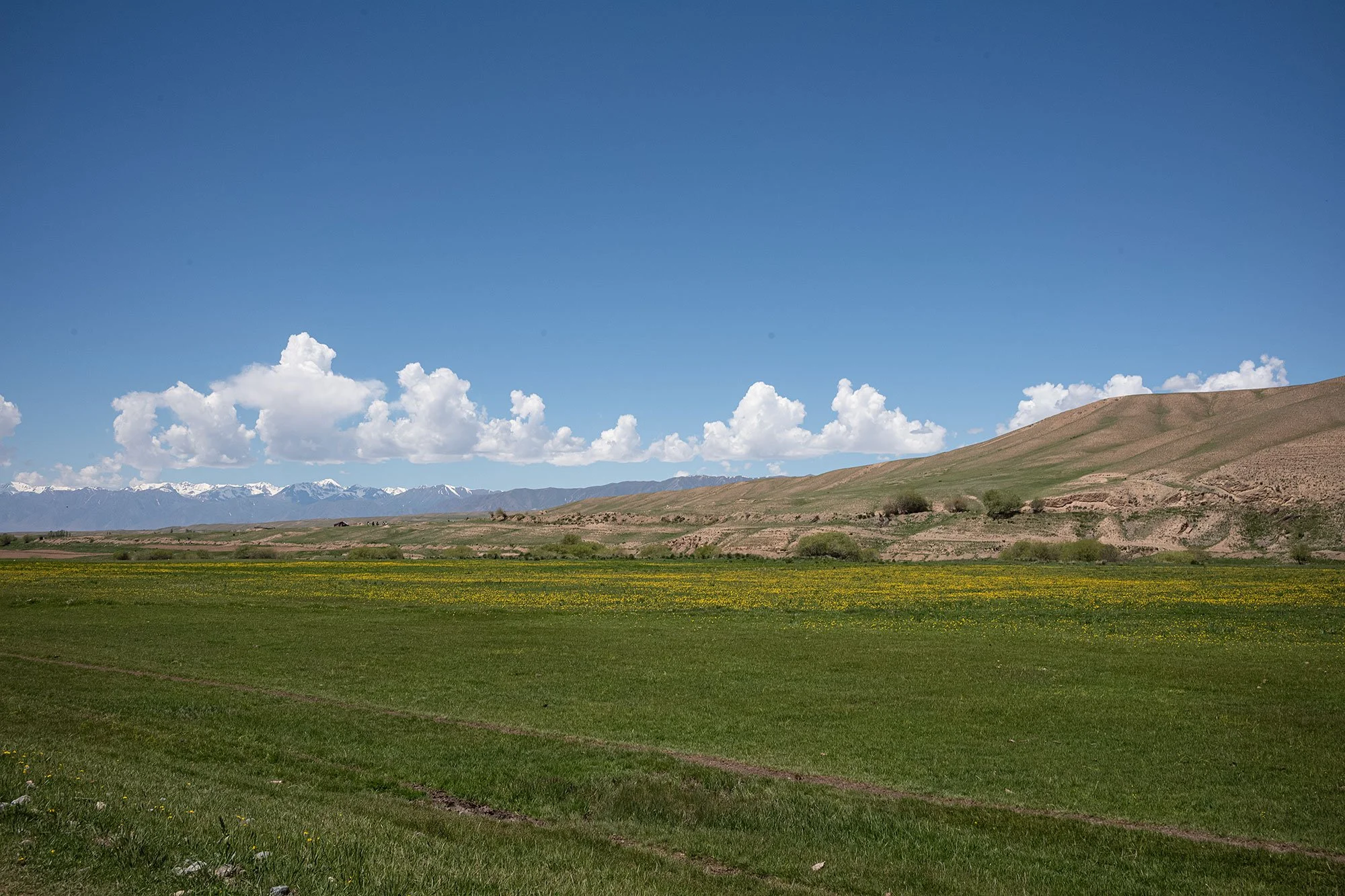 The Song Kul Kyrgyzstan horse trek day 3