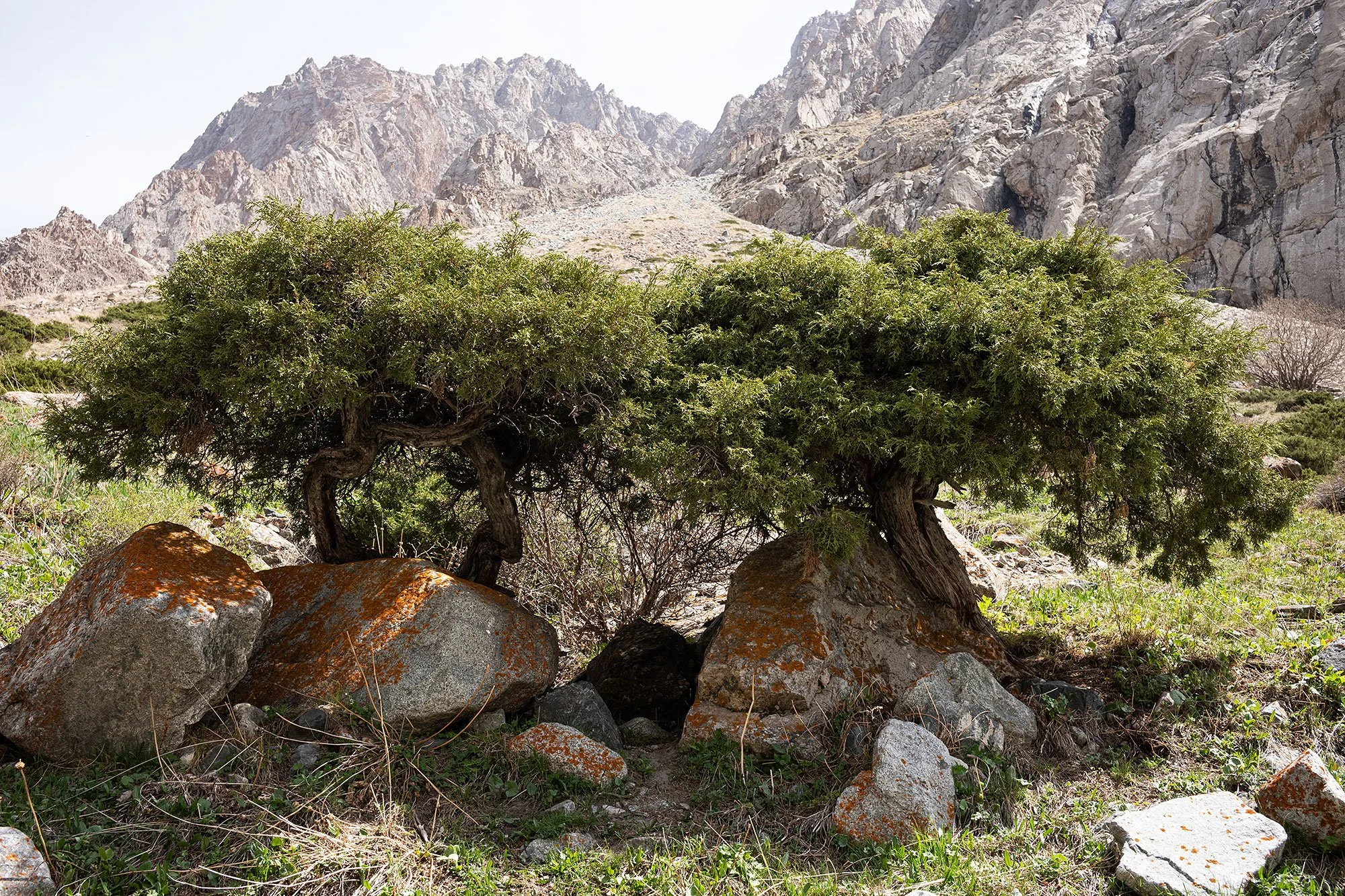 Ala Archa National Park, Kyrgyzstan.