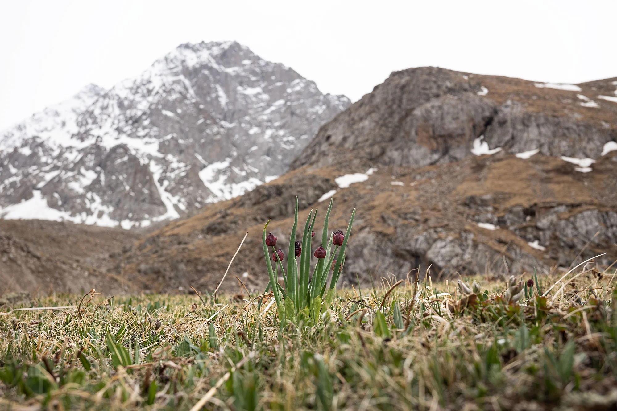 Ala Archa National Park, Kyrgyzstan.