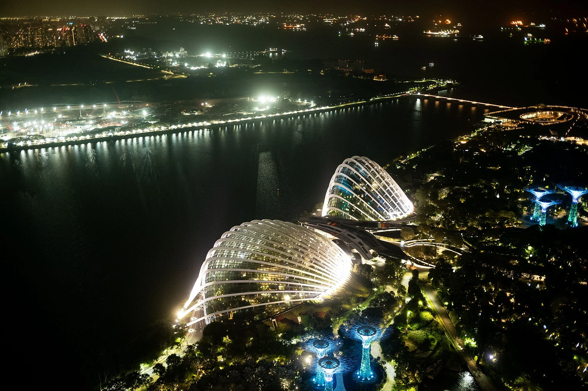 Gardens by the Bay from Marina Bay Sands. Singapore