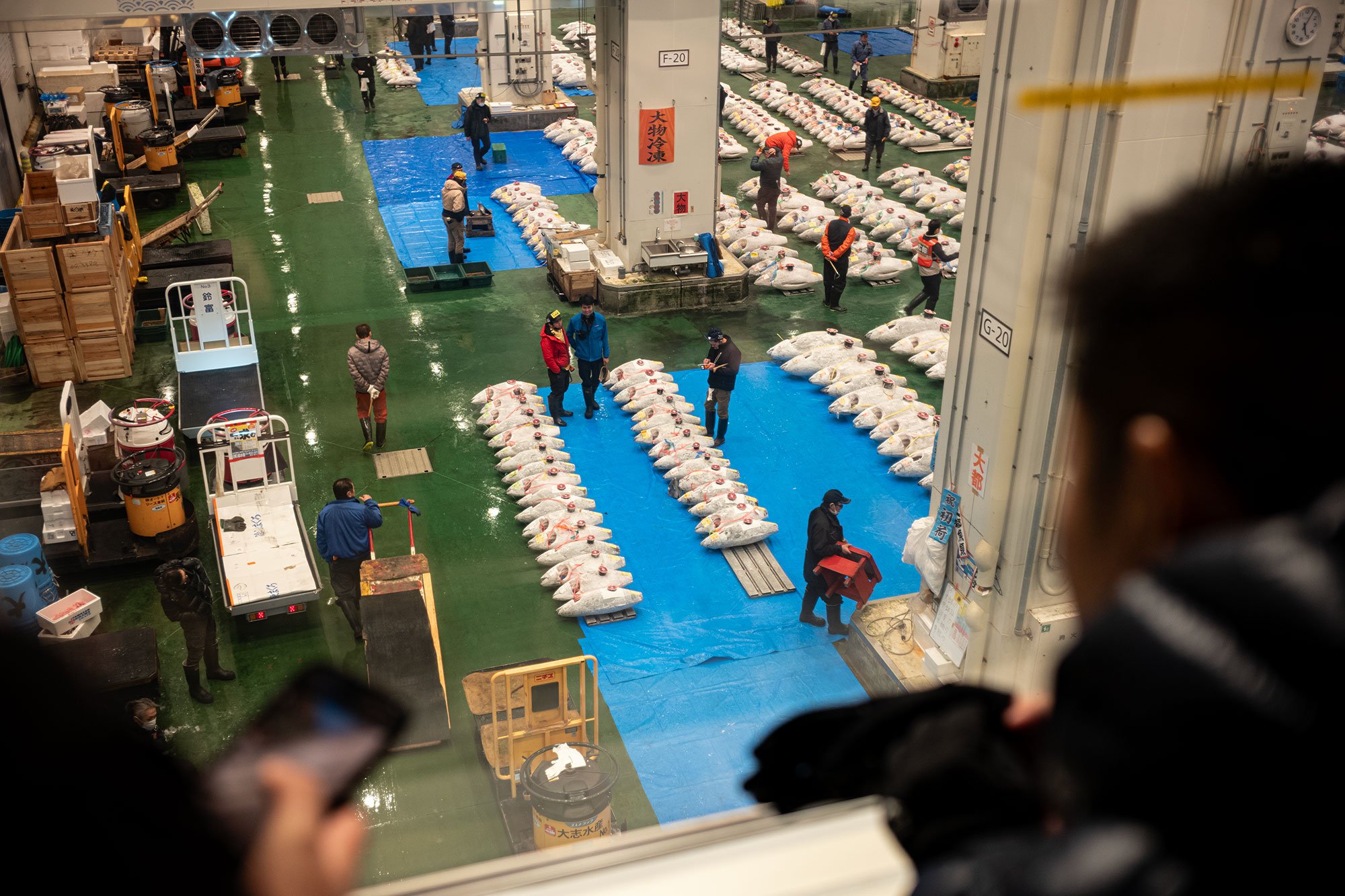 Toyosu fish market. Tokyo, Japan.